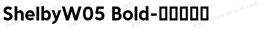ShelbyW05 Bold字体转换